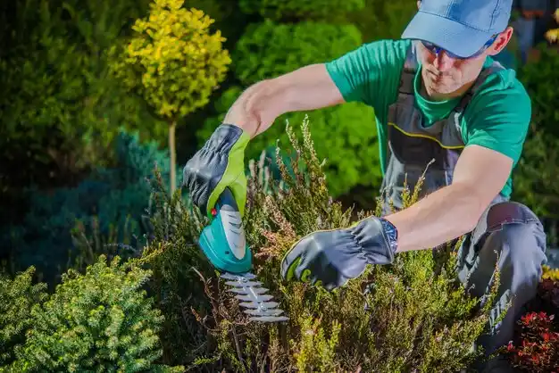 landscaping services Hampton Bays